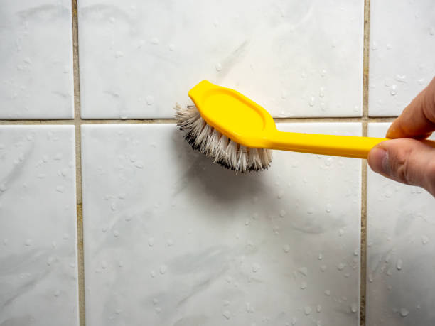 Professional Mold Remediation in Spencer, IA