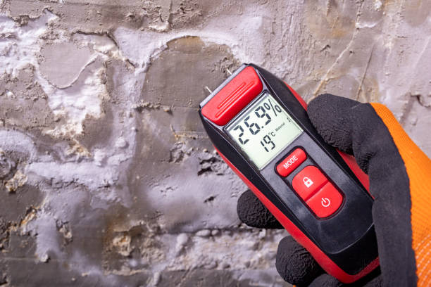 Best Mold Remediation for Specific Building Types in Spencer, IA