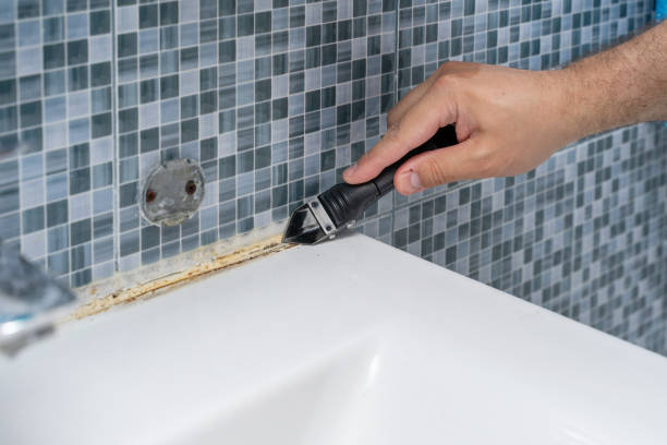 Best Kitchen Mold Remediation in Spencer, IA